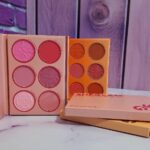 پالت پودری رژگونه شیگلم