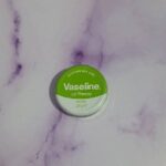 بالم لب کاسه ای - Image 3